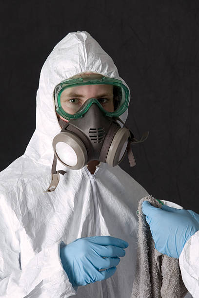 Best Emergency Mold Remediation  in USA